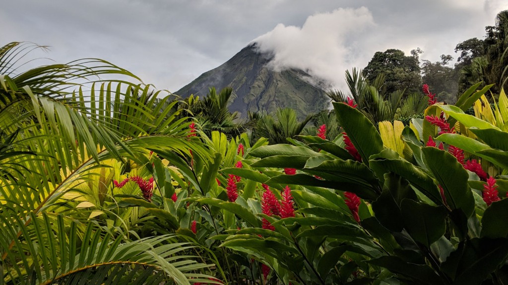 Arenal Volcano partially covered by clouds behind red ginger flowers in La Fortuna, Costa Rica.