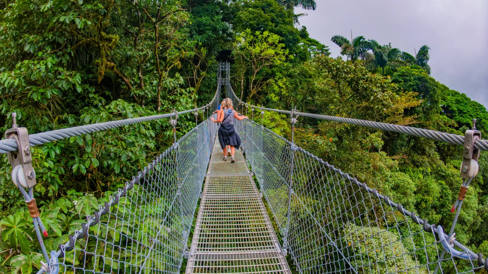 Personas caminando por un puente colgante sobre el denso dosel del bosque lluvioso en La Fortuna.