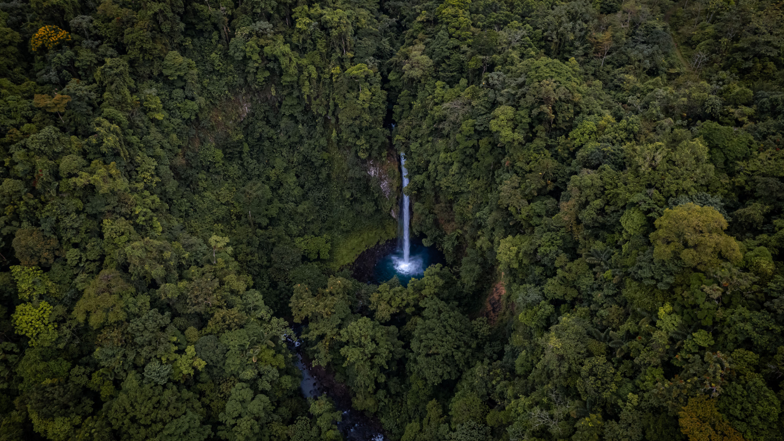 A beautiful waterfall cascading through dense tropical jungle